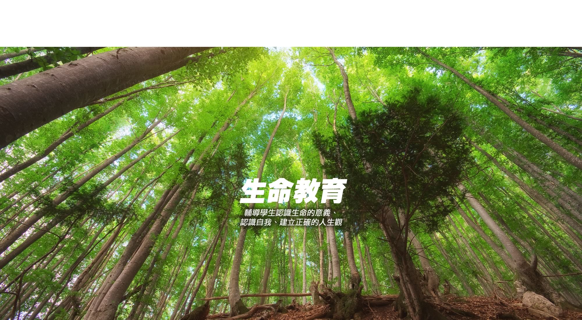 生命教育