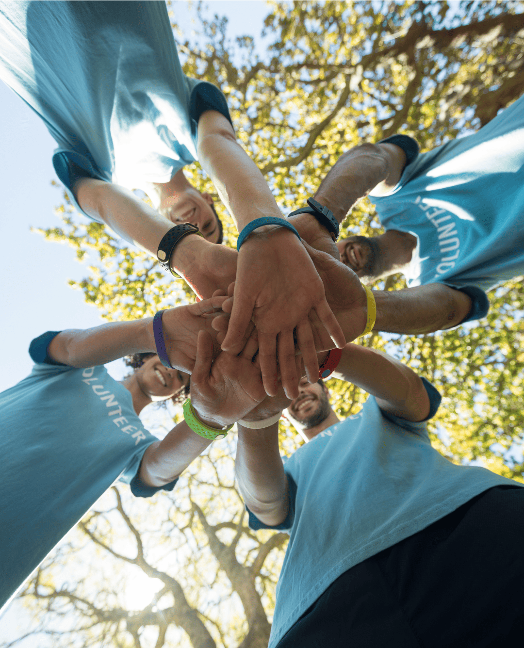 Purple Donate and Volunteer LinkedIn Story